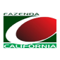 Logo 10