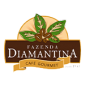Logo 13