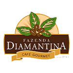 Logo 13