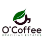 Logo 6