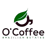 Logo 6