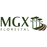 Logo 7